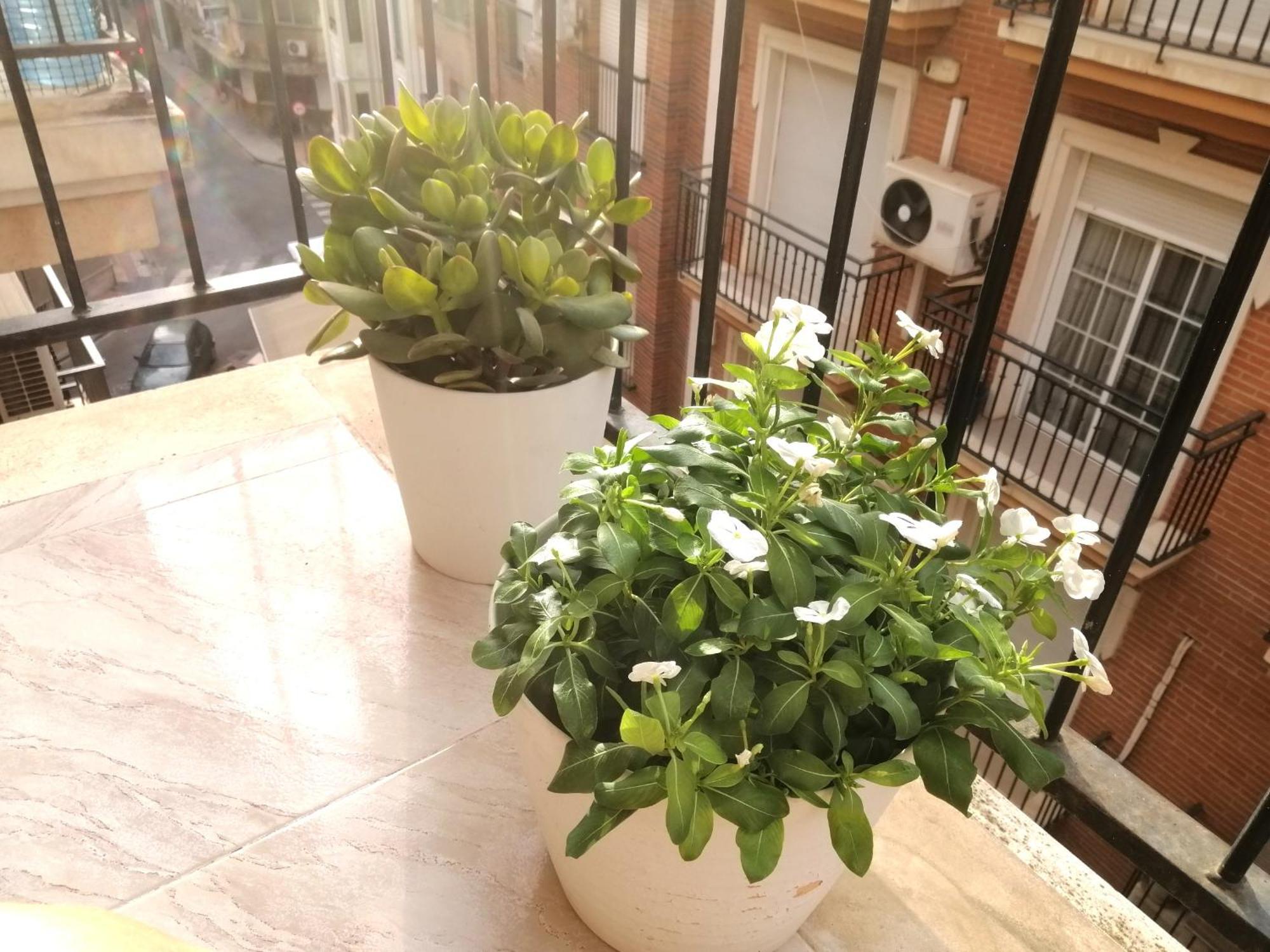 Centrico Apartamento Vara De Rey Murcie Extérieur photo